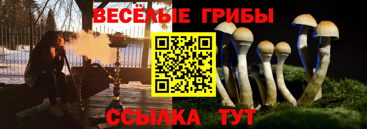 Псилоцибиновые грибы мицелий  Вход с VPN  Орехово-Зуево  Псилоцибиновые грибы Psilocybe 